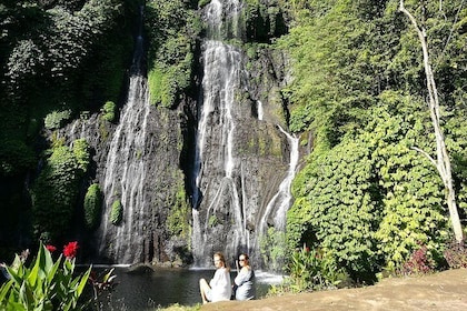 Bratan Temple, Banyumala Twin Waterfall, Jatiluwih Rice terrace and Tanah L...