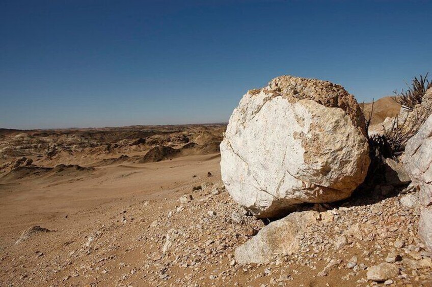 Welwitschia Tour from Swakopmund