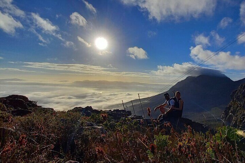 Hiking Table Mountain via Lion's Head.