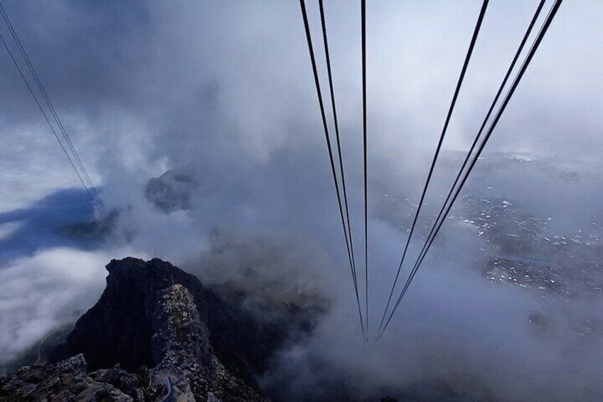 Hike Table Mountain via India Venster morning tour