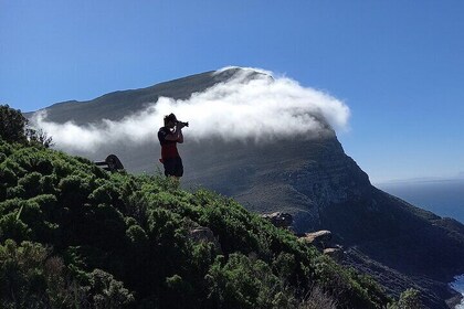 Hiking Cape of Good hope, Cape Point & Penguins Private Full Day