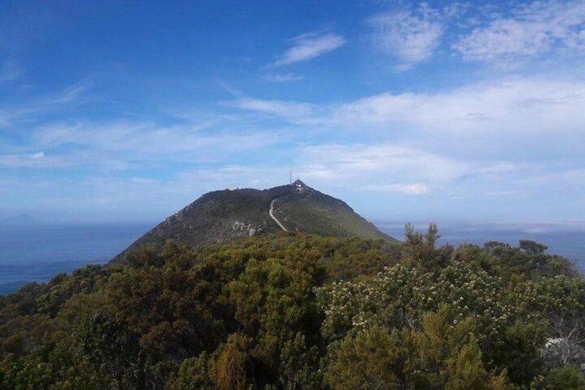 View toward Cape Point