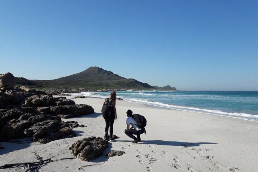 Walking on the beach