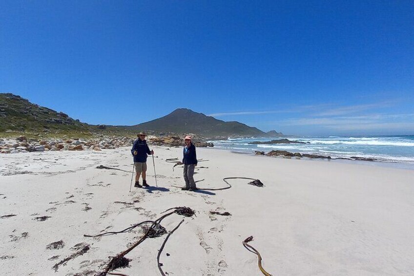 Cape of Good Hope Nature Reserve