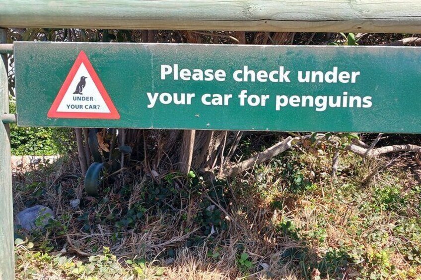 Beware!