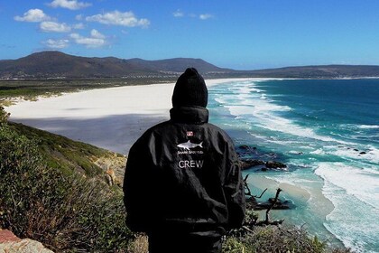 Cape of Good hope, Cape Point & Penguins, Private customisable Morning Tour