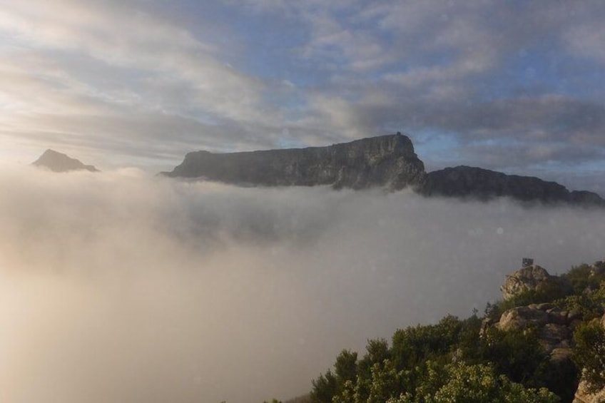 Table Mountain