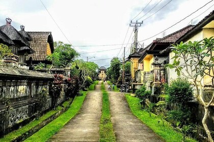 Bali Traditional Village Experience