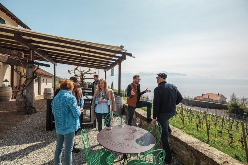 Wine Tasting with a view