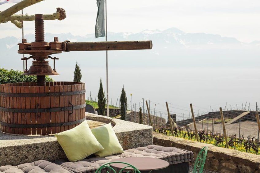 Wine Tasting with a view