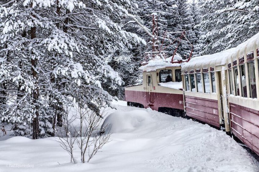 Borjomi-Bakuriani-Kukushka train Tour