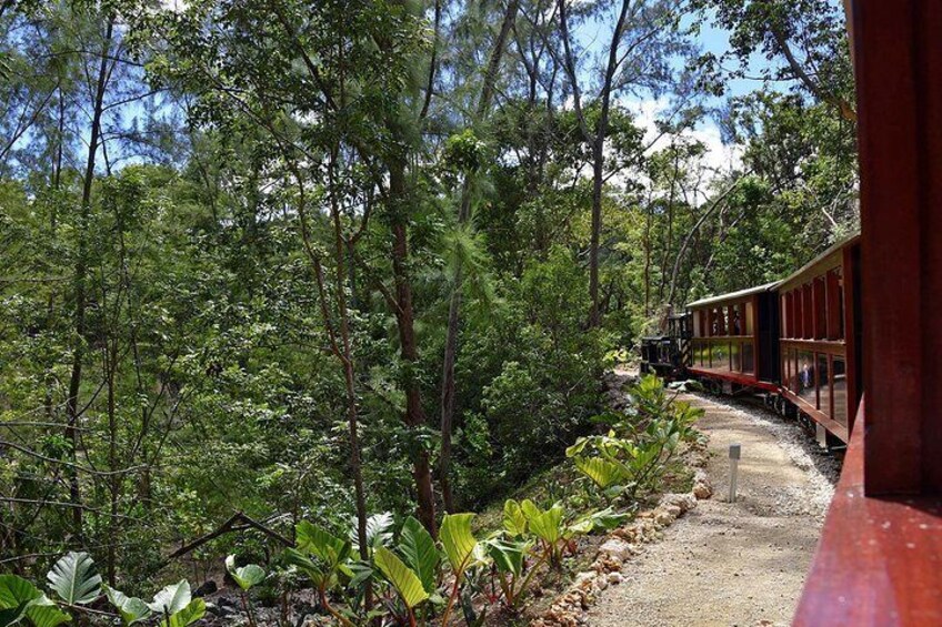 The Train Passing Through The Quarry