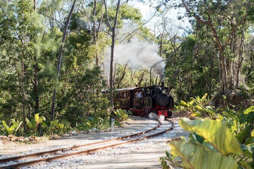 Show item 1 of 20. St.Nicholas Abbey Heritage Railway