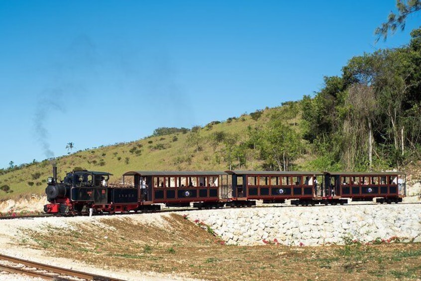 Train Returning To The Station