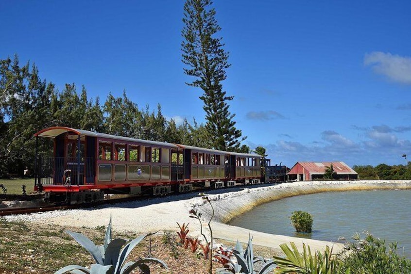 Train Passing The Lake