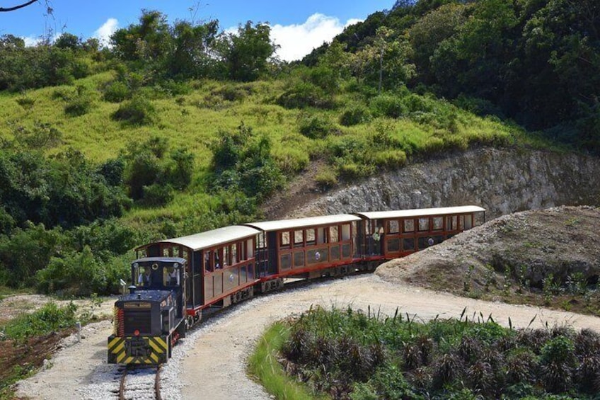 Train Returning Through the Hidden Valley