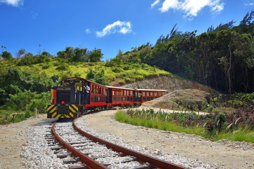 Train Coming Out Of The Woods Within Hidden Valley 