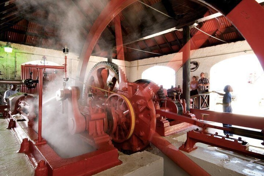 Steam Mill Grinding Cane