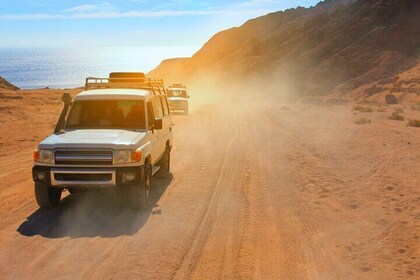 Hurghada: ATV Quad, Jeep and Buggy Safari with BBQ Dinner