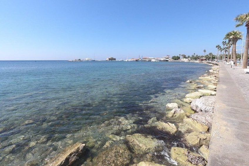 Head to our training dive site Roman Wall and experience the amazing underwater world. Just a short walk from our dive centre this shore dive is the perfect place for beginners!