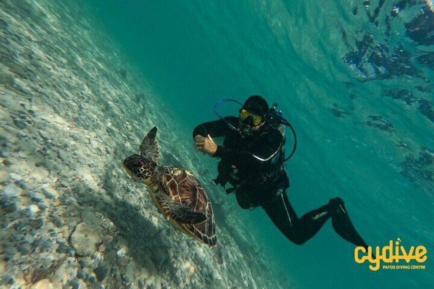 Discover Scuba Diving