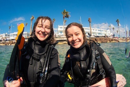 Excursion de plongée sous-marine d'une demi-journée - Découvrez la plongée ...