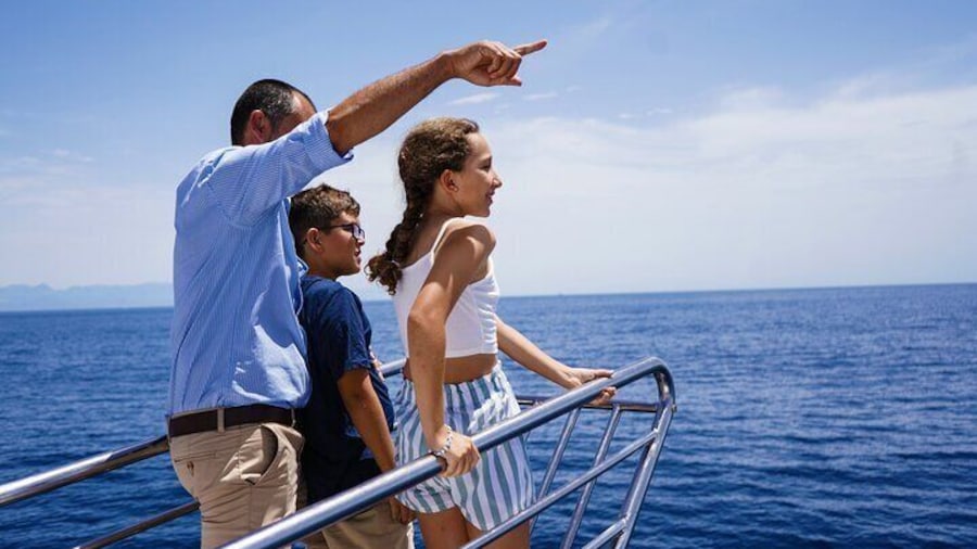 Family watching dolphins