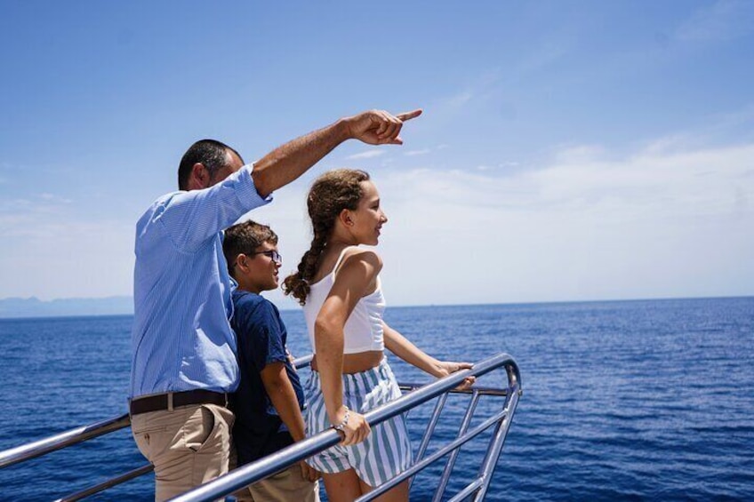 Family watching dolphins