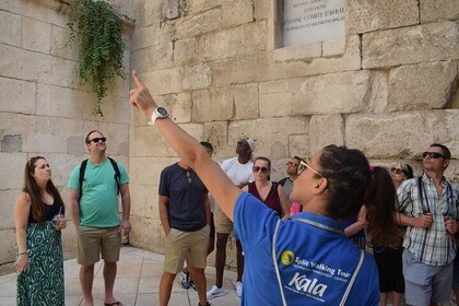 90-min Diocletian Palace Walking Tour with optional Wine and food Tasting