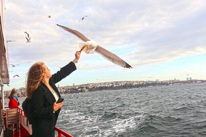 Eftermiddags krydstogt på Bosporus ((3 timer))