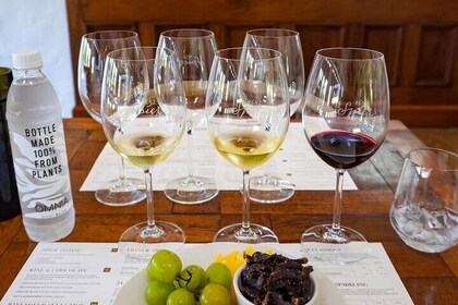 Tour en grupo por Cape Winelands