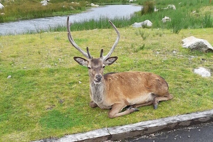 Fort William y Glencoe