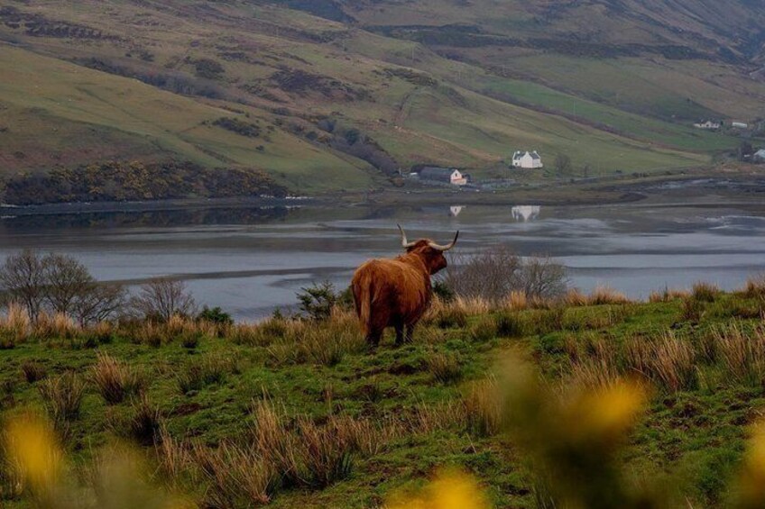 Isle of Skye and the Fairy Pools Tour