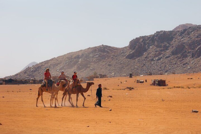 Camel tour