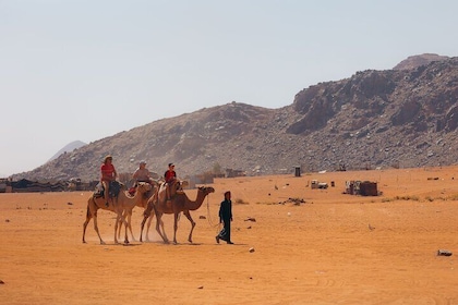 1 Day & 1 Night | Stay & Jeep + Camel Tour in Wadi Rum | Magic Bedouin Star