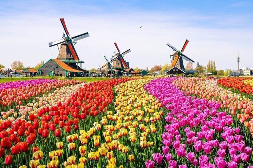 Countryside & Zaanse Schans Windmills Tour