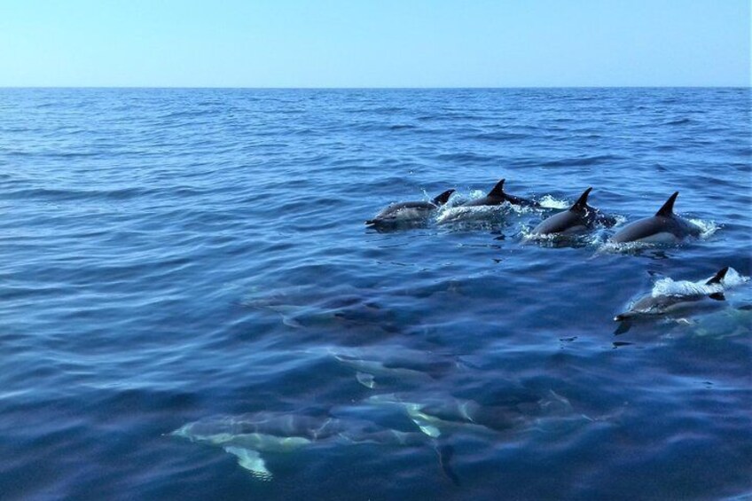 Surfing in the waves alongside our RIB