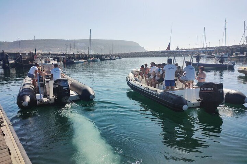 The fleet leaving out at sea for another great tour of dolphin watching
