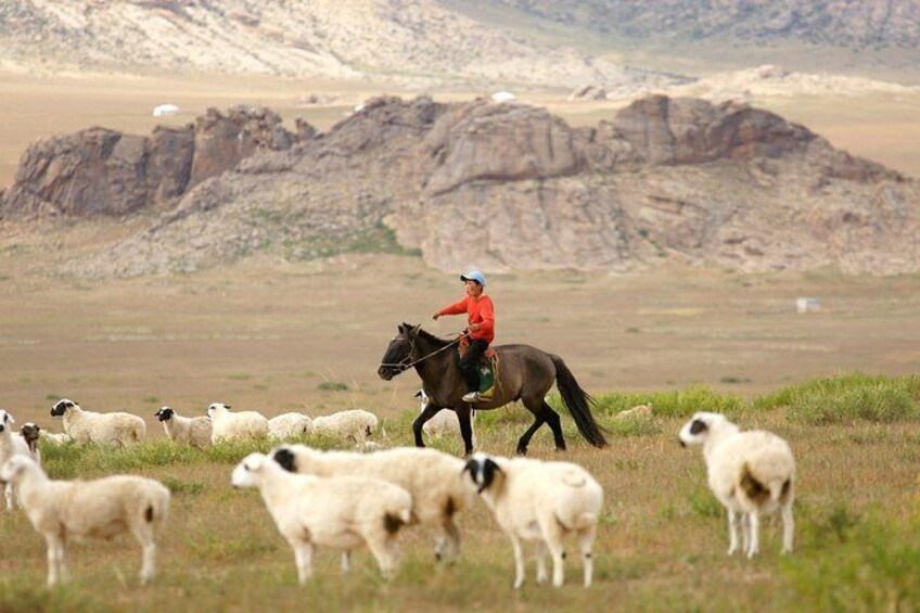 Photography & Tour services in Ulaanbaatar