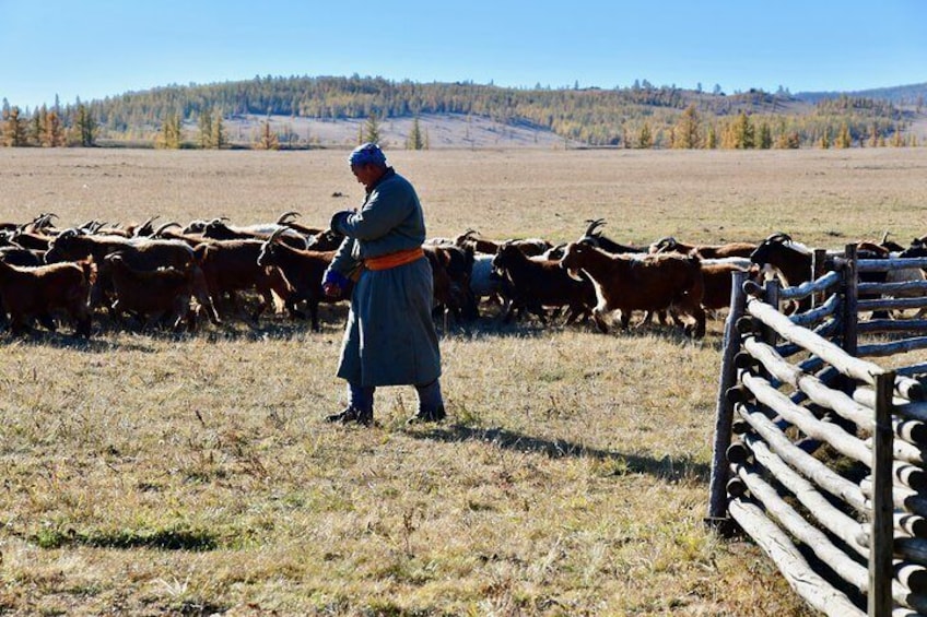 Photography & Tour services in Ulaanbaatar