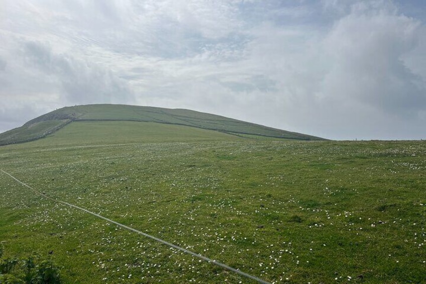 Cliffs of Moher Private Tour from Killarney