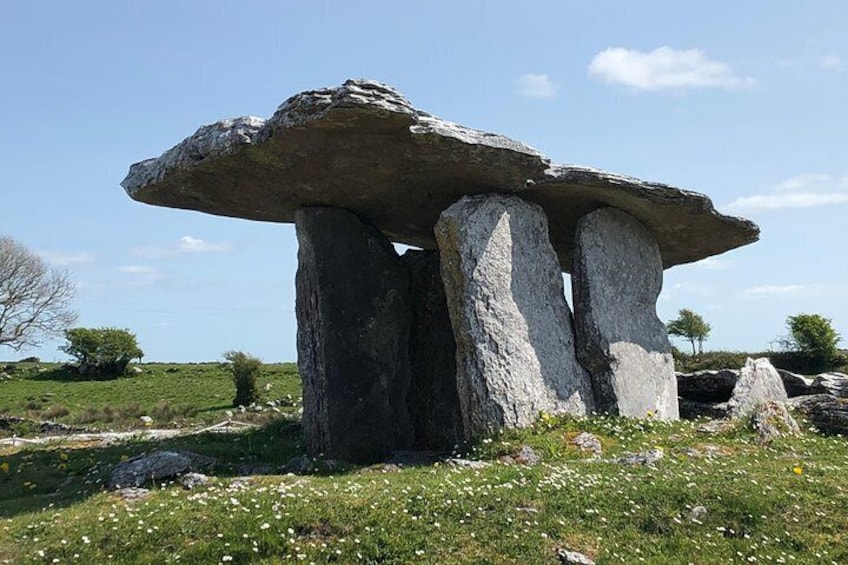 Cliffs of Moher Private Tour from Killarney