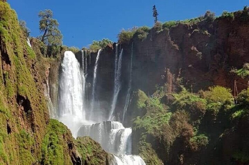 Guided Day tour of Ouzoud waterfalls from Marrakech