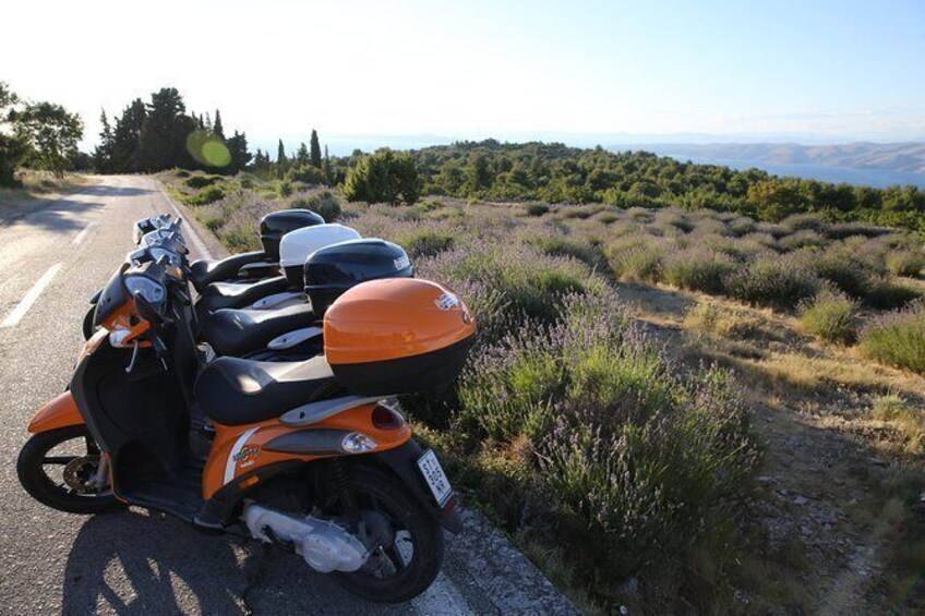Show item 4 of 6. Scooter 50cc rental Hvar