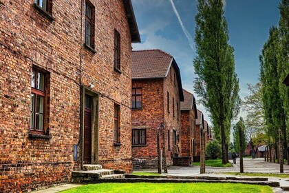 Cracovia : Tour Auschwitz-Birkenau & Guía experto en museos