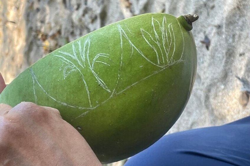 Craft Your Own wooden Bowl : in 1.5 hours from a calabash fruit!