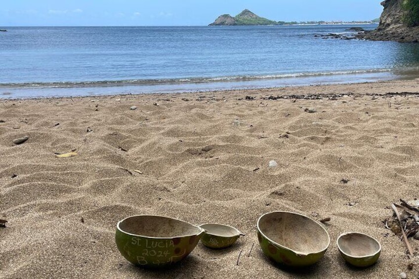 Make your own wooden bowl from the fruit of Calabash, national tree of St Lucia