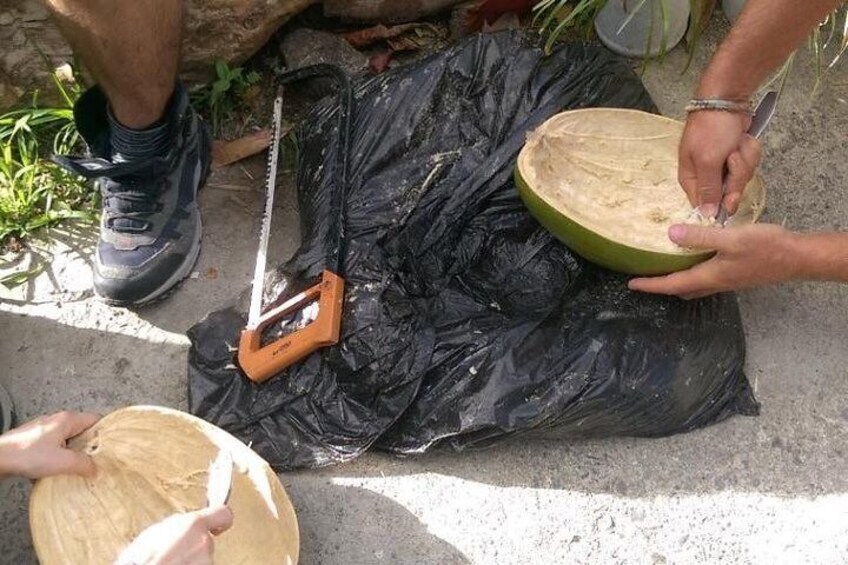 Make your own wooden bowl from the fruit of Calabash, national tree of St Lucia