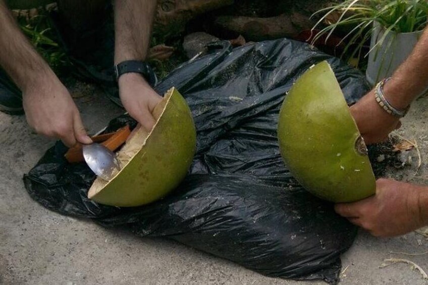 Make your own wooden bowl from the fruit of Calabash, national tree of St Lucia