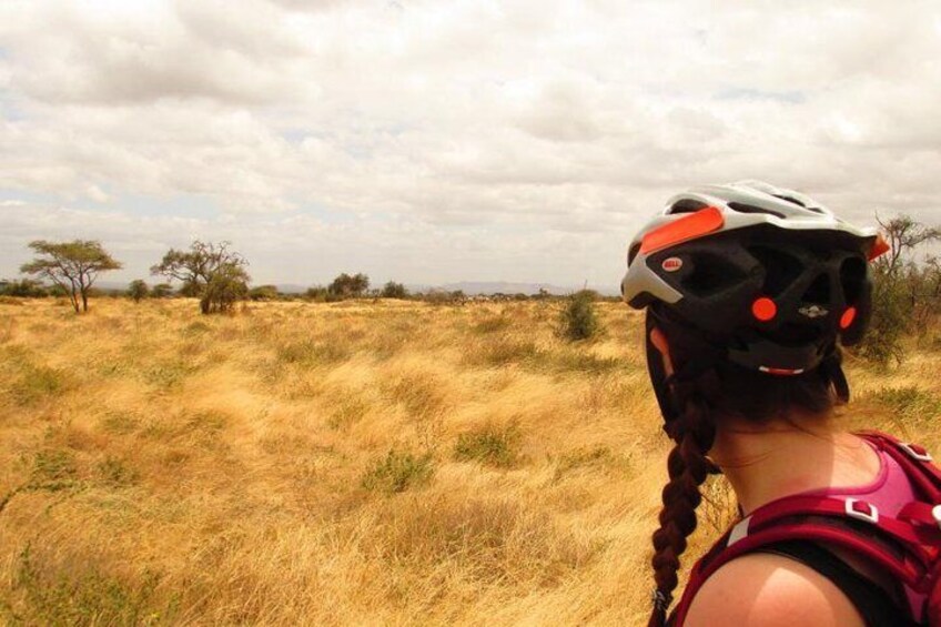 kilimanjaro bike park safari